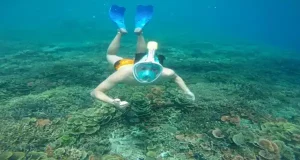 paketb reguler karimunjawa