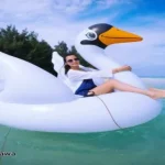 paket karimunjawa standar ac