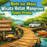 rute dan akses wisata hutan mangrove tanpa drama