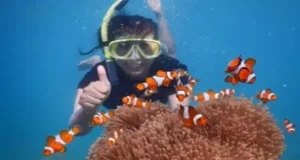 snorkling karimunjawa