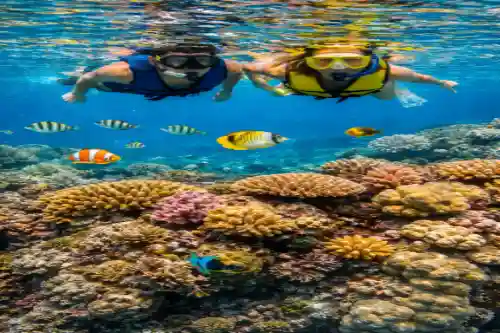 spot snorkling favorit karimunjawa