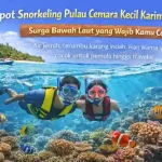spot snorkling pulau cemara kecil karimunjawa