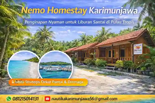 nemo homstay karimunjawa