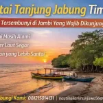 pantai tanjung jabung timur