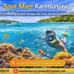 spot maer karimunjawa