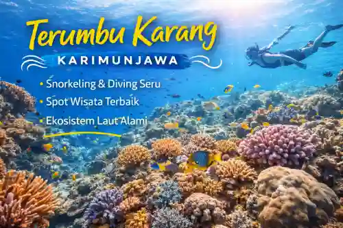 terumbu karang karimujawa