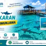 Pulau Penangkaran Hiu Karimunjawa