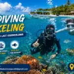 Scuba Diving dan Snorkeling Karimunjawa