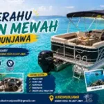 Sewa Perahu Ponton Mewah Karimunjawa