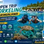 Open Trip Snorkeling Karimunjawa