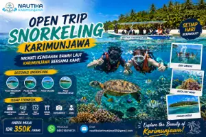 Open Trip Snorkeling Karimunjawa