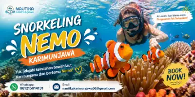 Snorkeling Nemo Karimunjawa