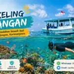 Snorkeling Menjangan Karimunjawa: Spot Favorit Wisatawan