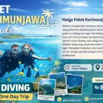 Paket Karimunjawa Islands: Liburan Tropis yang Seru