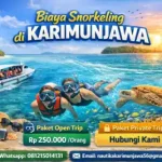 Biaya Snorkeling di Karimunjawa, Worth It?