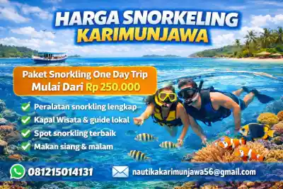 Harga Snorkeling Karimunjawa