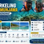 Paket Snorkeling Karimunjawa Tanpa Menginap