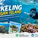Snorkeling Menjangan Island, Surga Bawah Laut