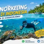 Spot Snorkeling Terbaik di Indonesia Ada di Karimunjawa