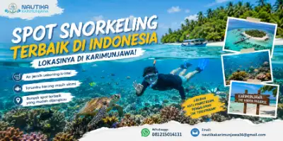 Spot Snorkeling Terbaik di Indonesia Ada di Karimunjawa