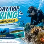 One Day Trip Diving Karimunjawa