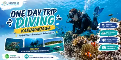One Day Trip Diving Karimunjawa