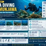 scuba diving karimunjawa