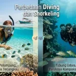 perbedaan diving dan snorkeling