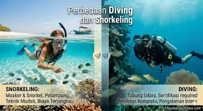 perbedaan diving dan snorkeling