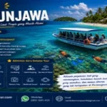 Tour Laut Karimunjawa, Cara Terbaik Menjelajahi Surga Tropis